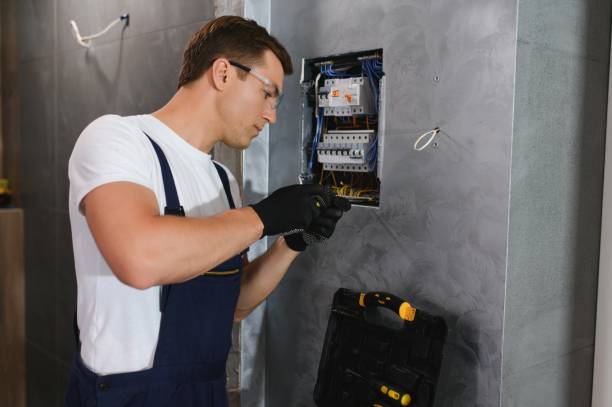 Best Electrical Rewiring Services  in Fowlerville, MI