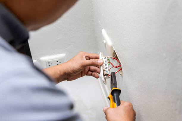 Best Electrician for Home Renovation  in Fowlerville, MI